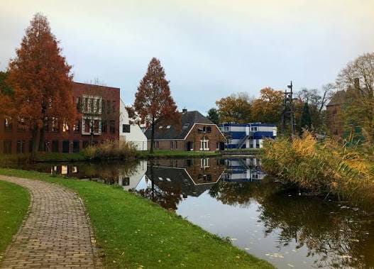 Lingewaard
